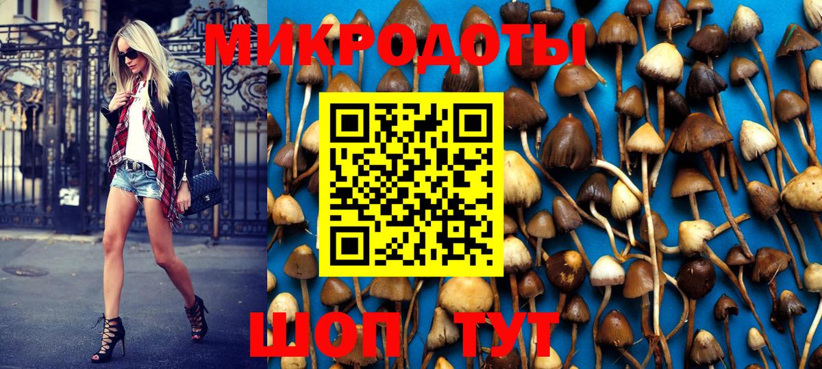 Галлюциногенные грибы мухоморы  Псилоцибиновые грибы Magic Shrooms  продажа наркотиков  Елабуга  Вход с VPN 